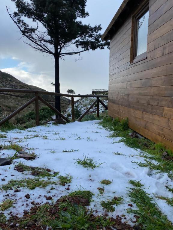 Hotel Mountain Eco Shelters 2 Funchal  Exterior foto